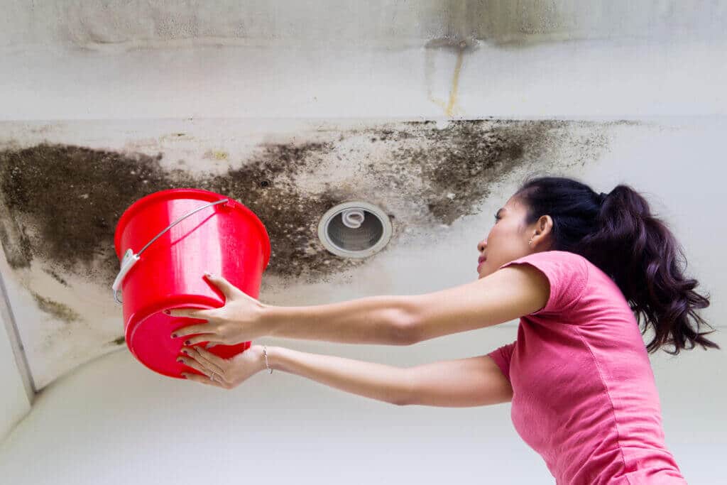 Photo of woman holding a bucket while collecting water from leaking pipes